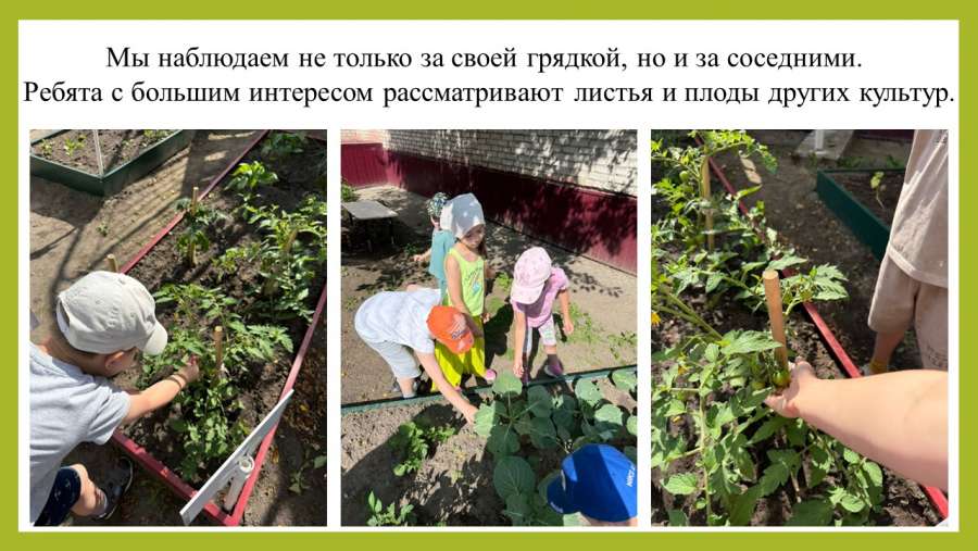 Слайд5.JPG