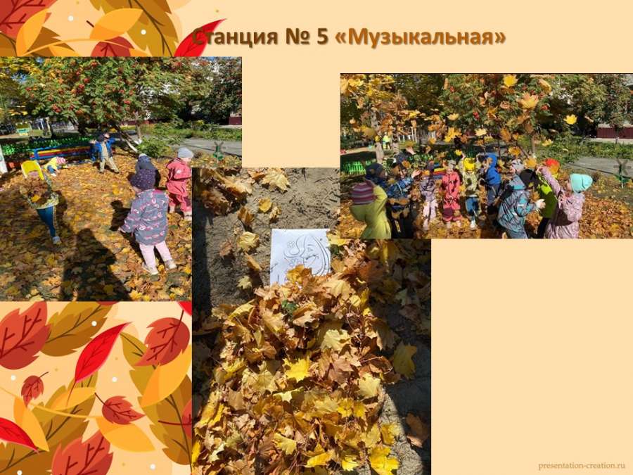 Слайд8.JPG