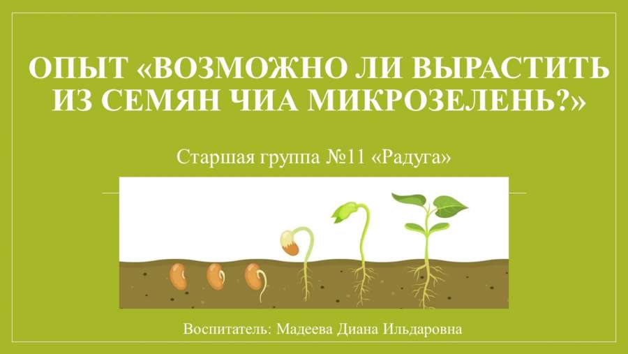 Слайд1.JPG