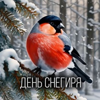День Снегиря