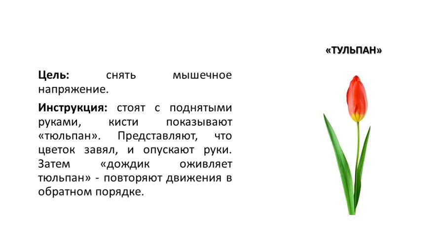 Слайд10.JPG
