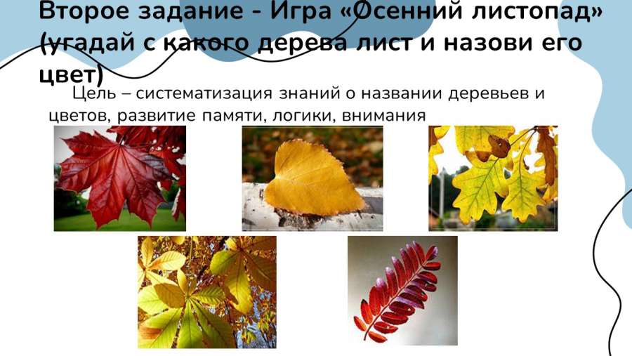 Слайд4.JPG