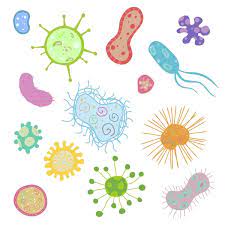Микробы вокруг нас (детско - родительский проект)