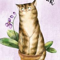 День кошек
