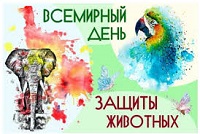 День защиты животных