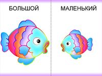 Большой-маленький