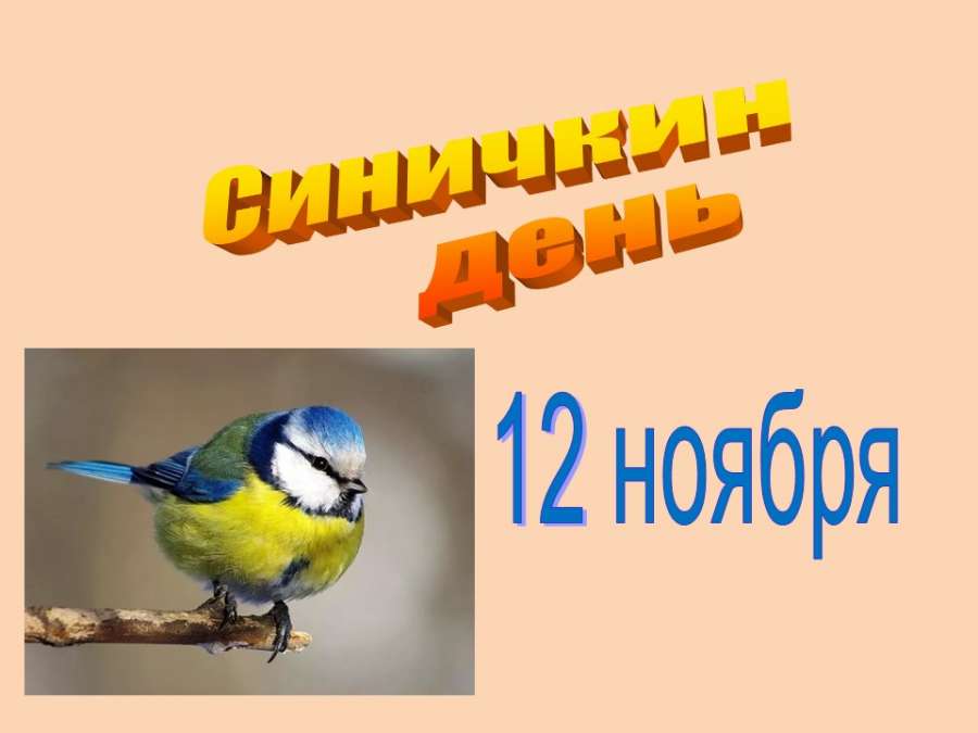 Слайд1.JPG