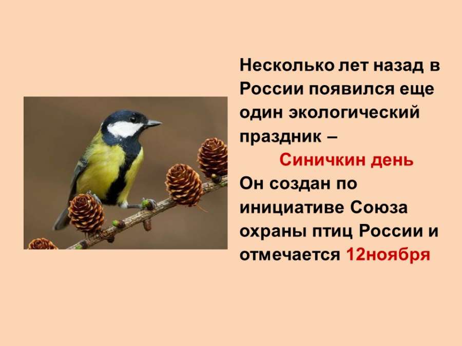 Слайд2.JPG