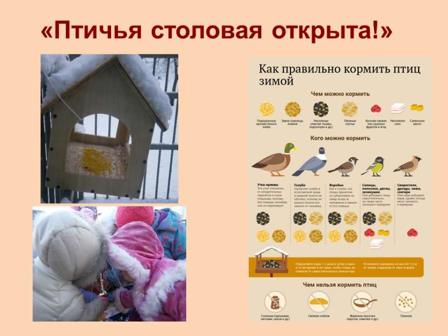 Слайд8.JPG