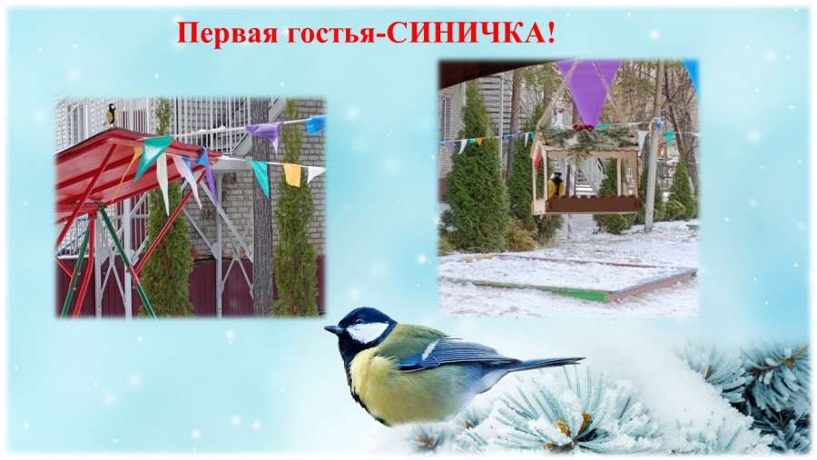 Слайд11.JPG