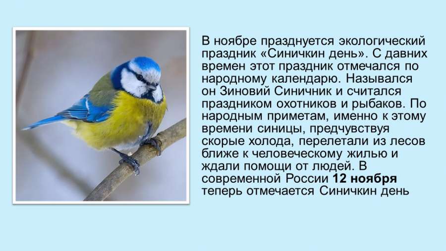 Слайд2.JPG