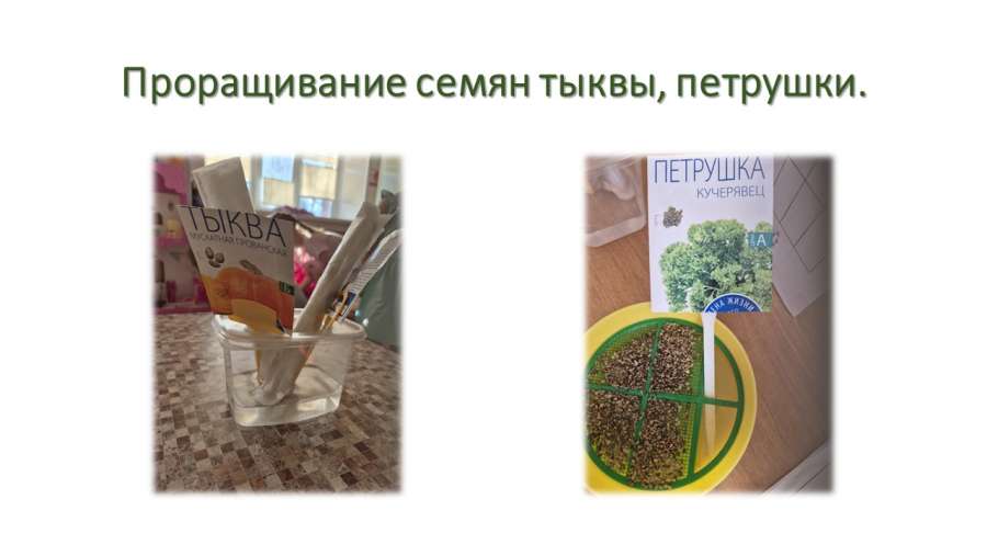 Слайд4.JPG