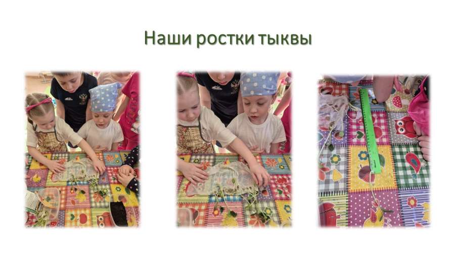 Слайд5.JPG