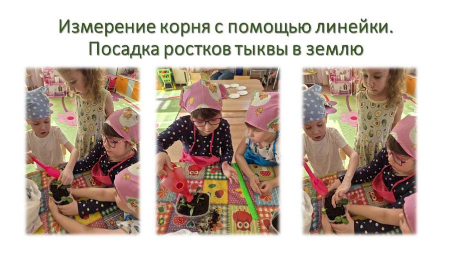 Слайд6.JPG