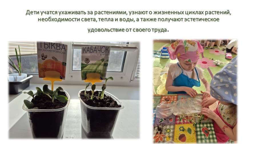 Слайд7.JPG