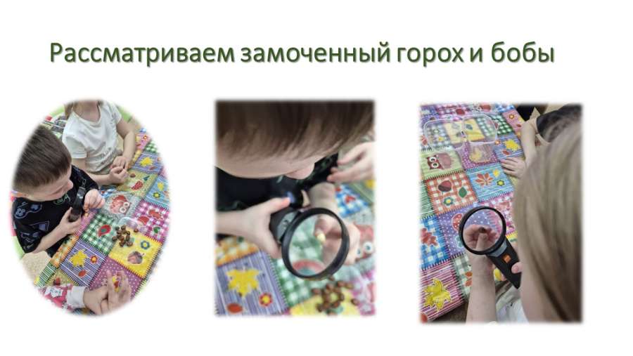 Слайд8.JPG