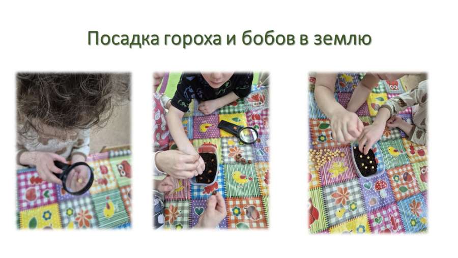 Слайд9.JPG