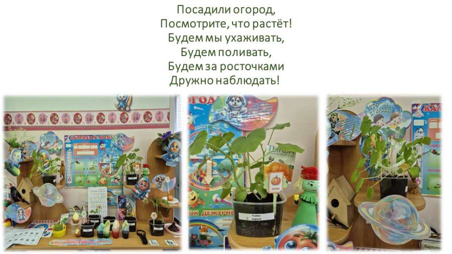 Слайд10.JPG