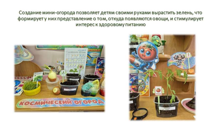 Слайд11.JPG