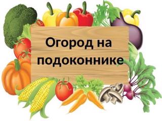 Космический огород
