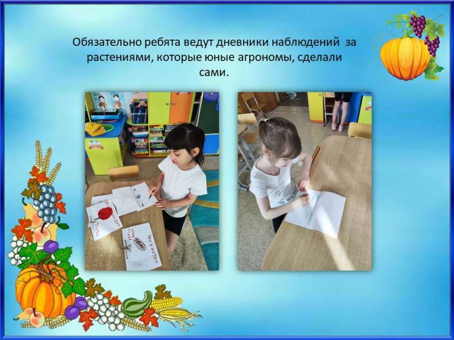 Слайд5.JPG