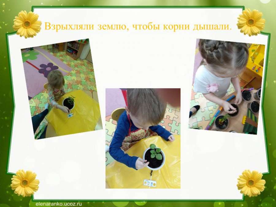 Слайд13.JPG