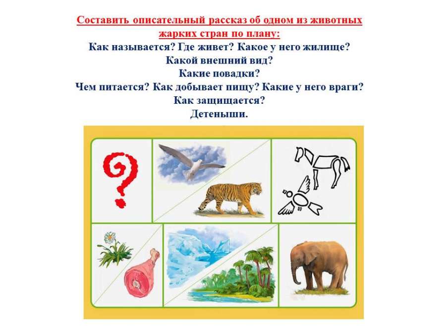 Слайд12.JPG