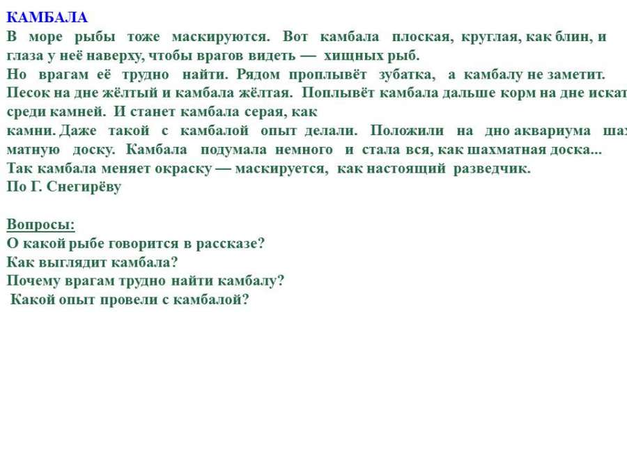 Слайд20.JPG