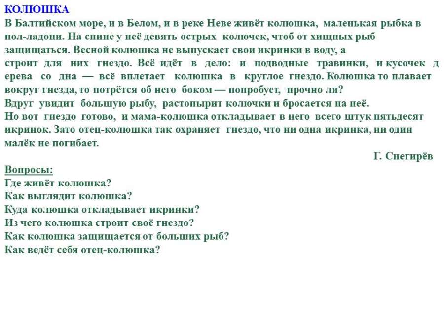 Слайд21.JPG