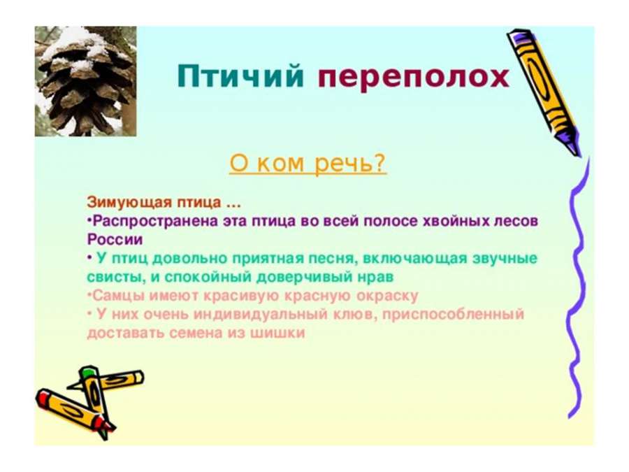Слайд11.JPG