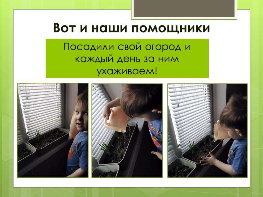 Слайд3.JPG