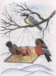 Акция "Покормите птиц зимой"