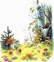 Аппликация "На лесной полянке выросли грибы"