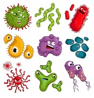 Микробы и вирусы